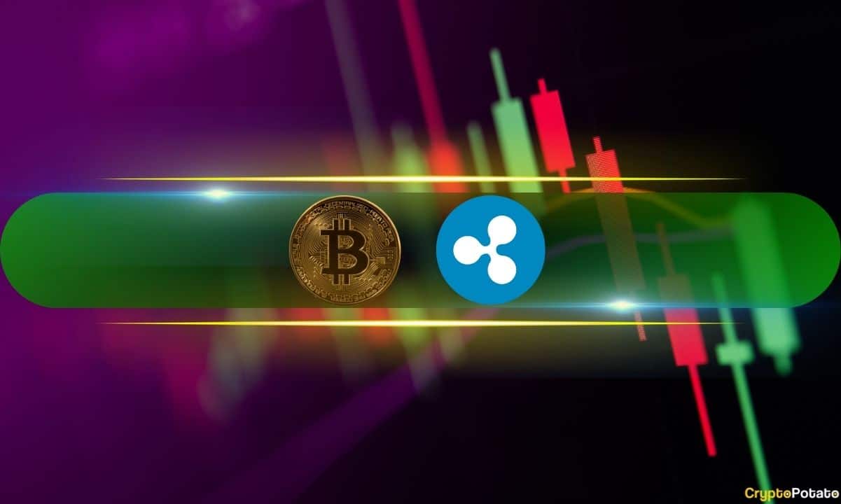 XRP Recovery Continues With Fresh Gains, BTC Stopped at $64K: Market Watch