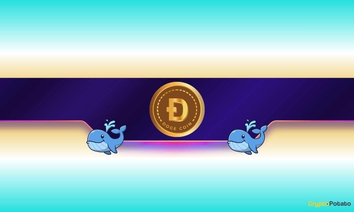 240,000,000 DOGE in a Week: Where Is Dogecoin Headed Next?