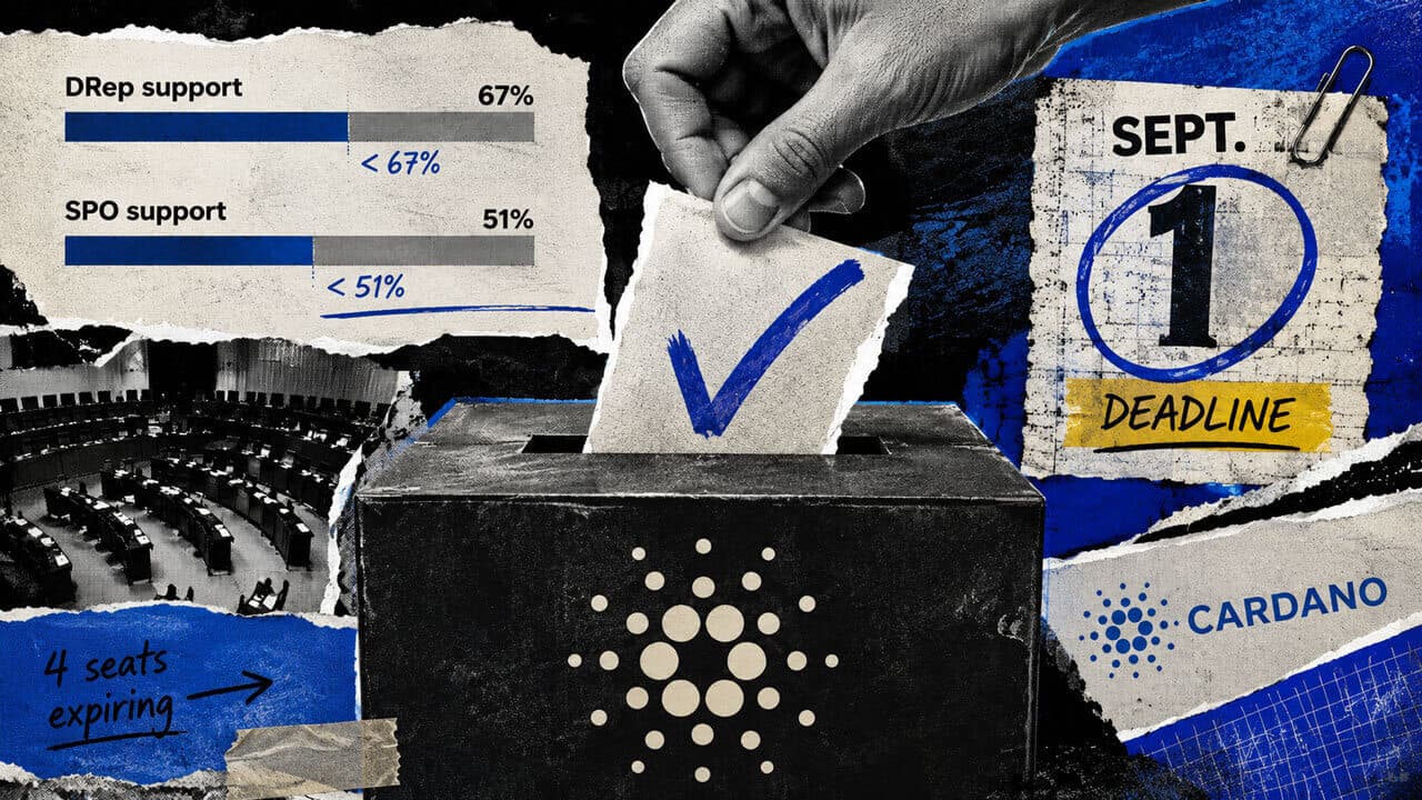 Cardano Committee Vote Nears Sept. 1 Deadline