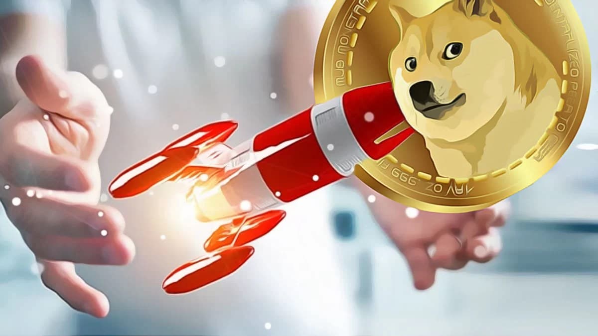 Whale Transactions Shake Up Dogecoin Market