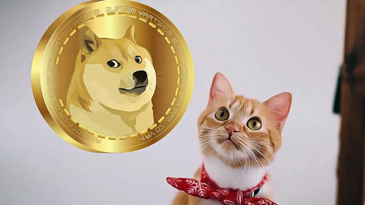 Unexpected Price Movement in Meme Coins Captures Investor Attention