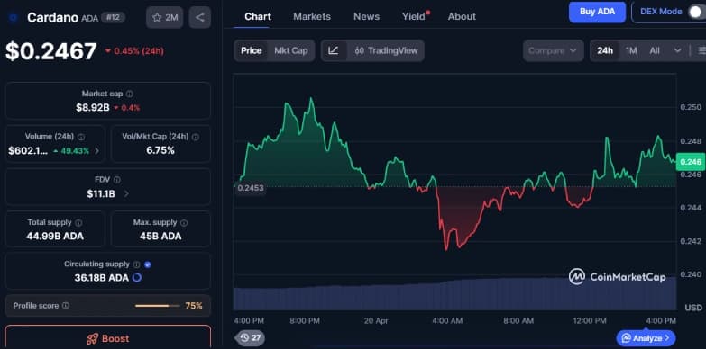 Cardano Names Foundation as Catalyst Manager, ADA Holds $0.24
