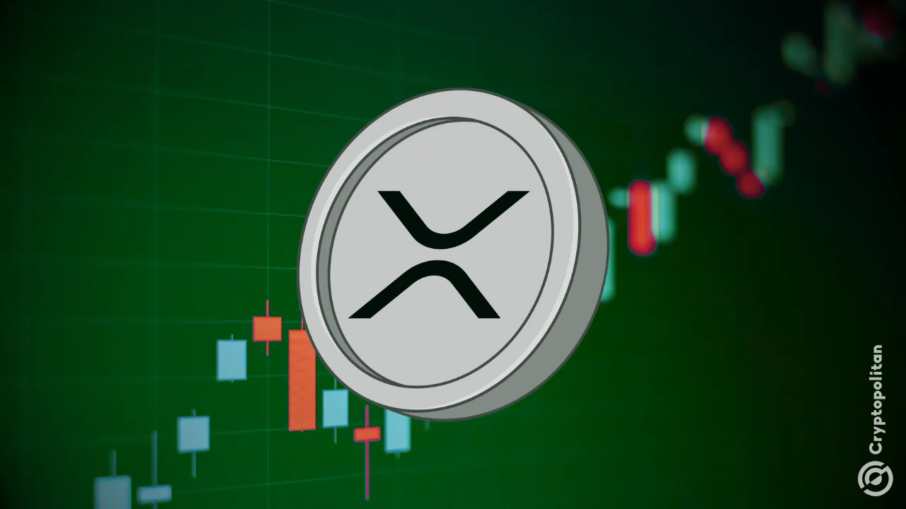 XRP ETFs stay positive again with $12.29M as BTC funds rack up outflows