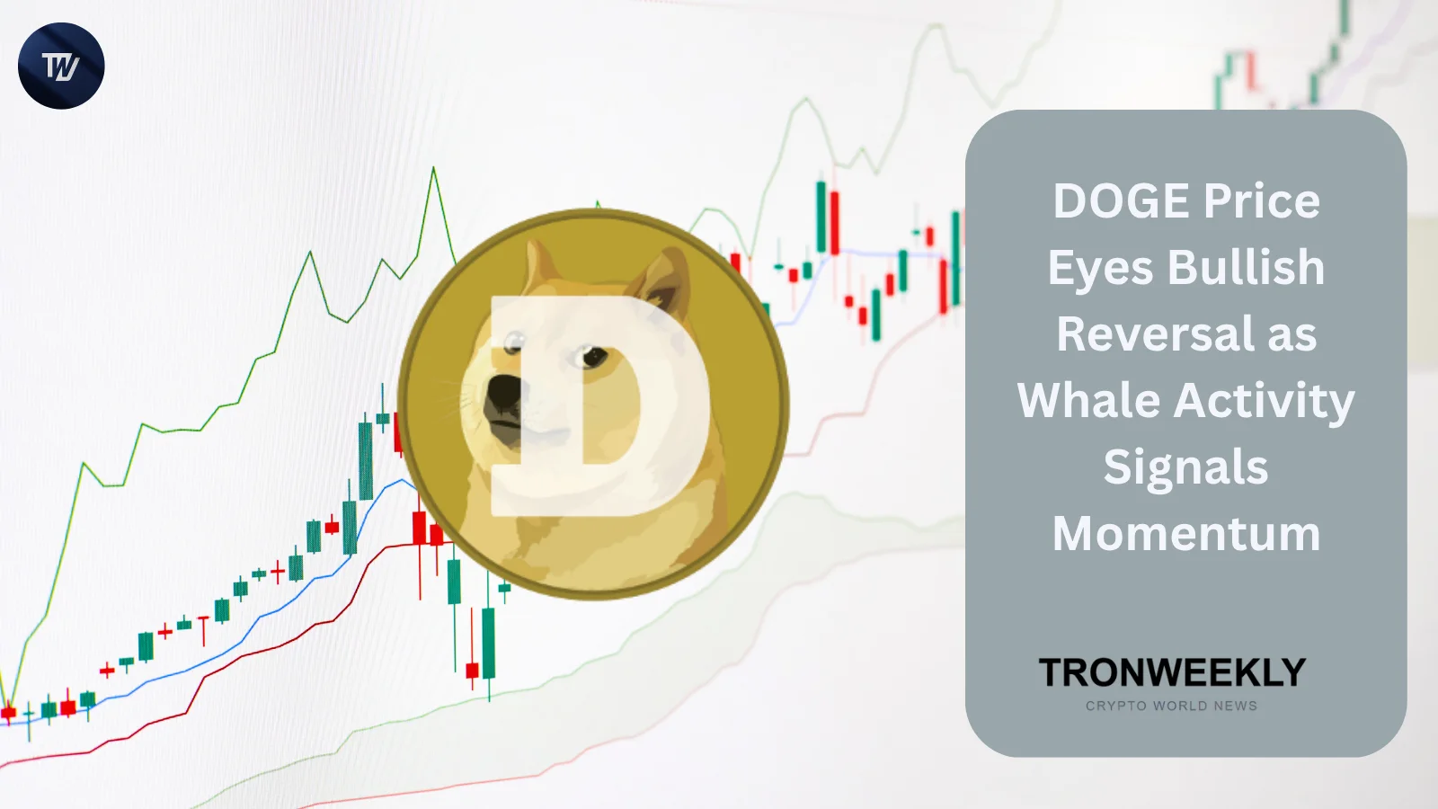 DOGE Price Eyes Bullish Reversal as Whale Activity Signals Momentum