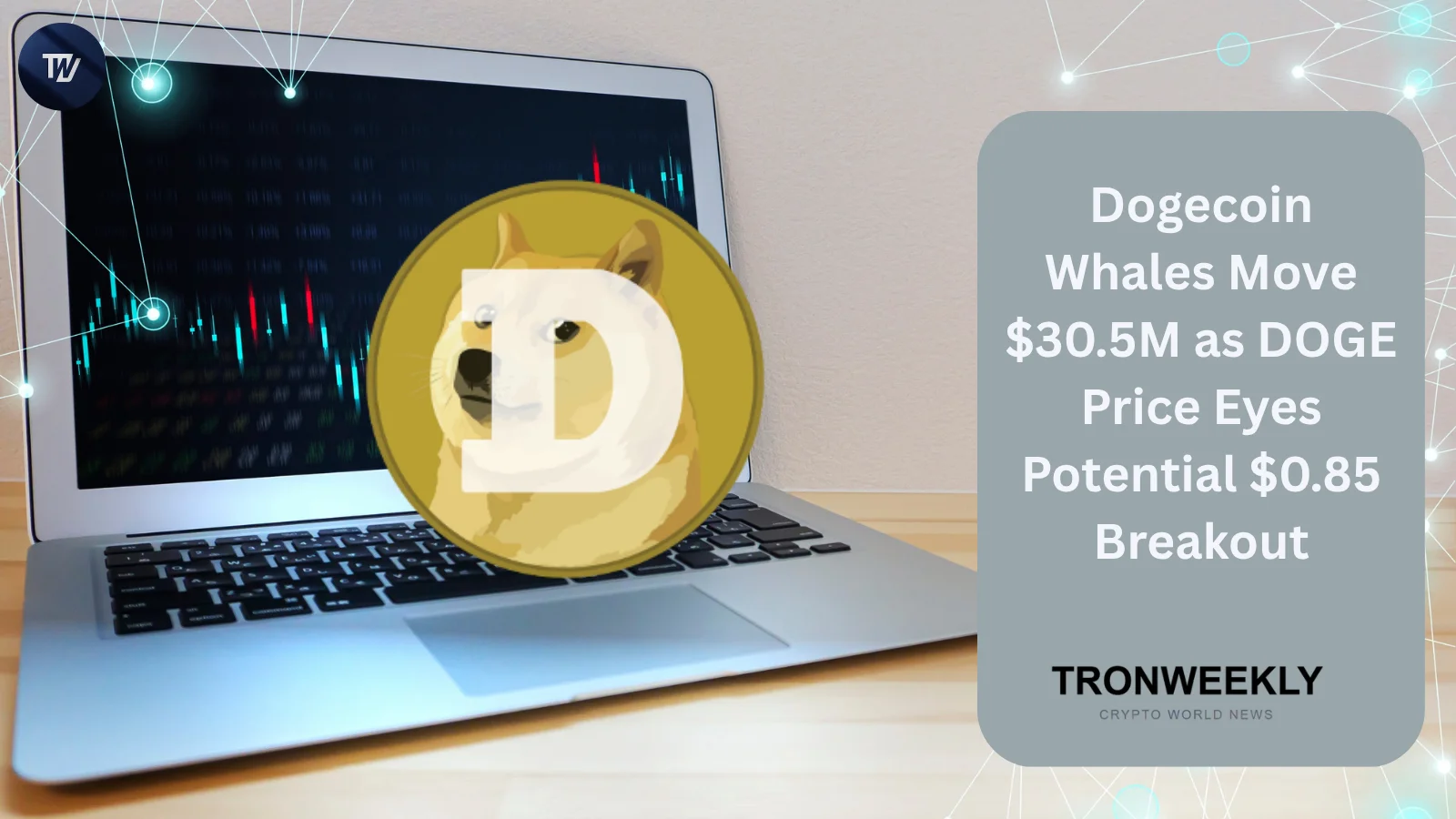 Dogecoin Whales Move $30.5M as DOGE Price Eyes Potential $0.85 Breakout
