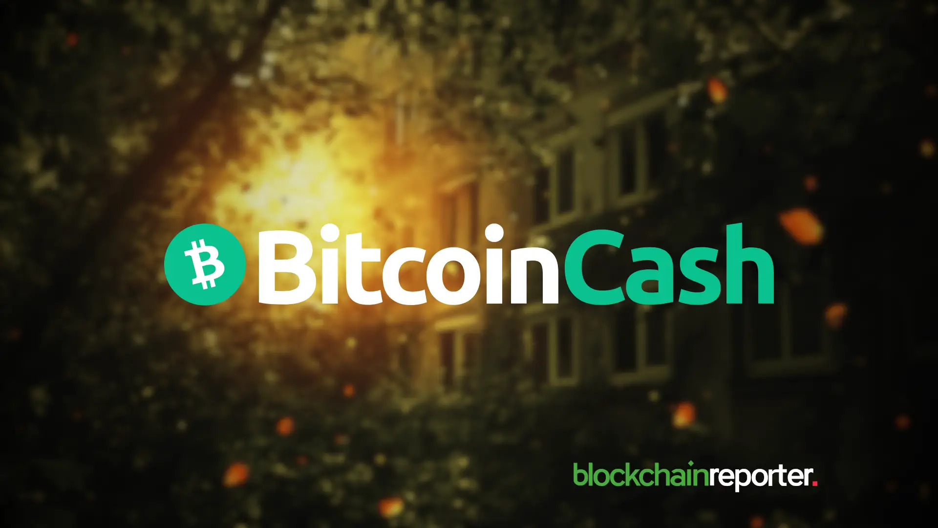 Grayscale Files BCHG Spot Bitcoin Cash ETF Conversion