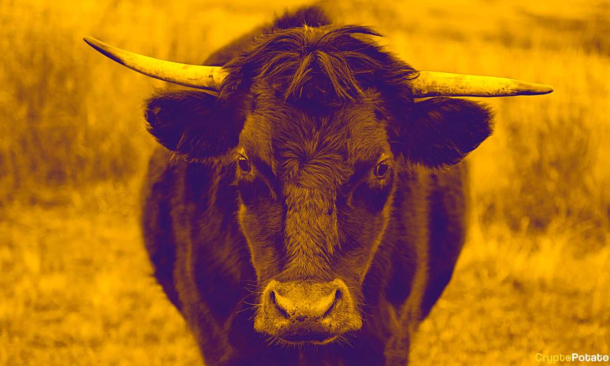“Largest Altcoin Bull Run of All Time Is Loading,” Analyst Says as Key Charts Break Out