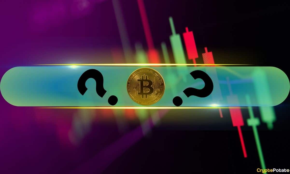 Viral Altcoin Skyrockets by 80% Daily, Bitcoin (BTC) Jumped to $64K: Market Watch
