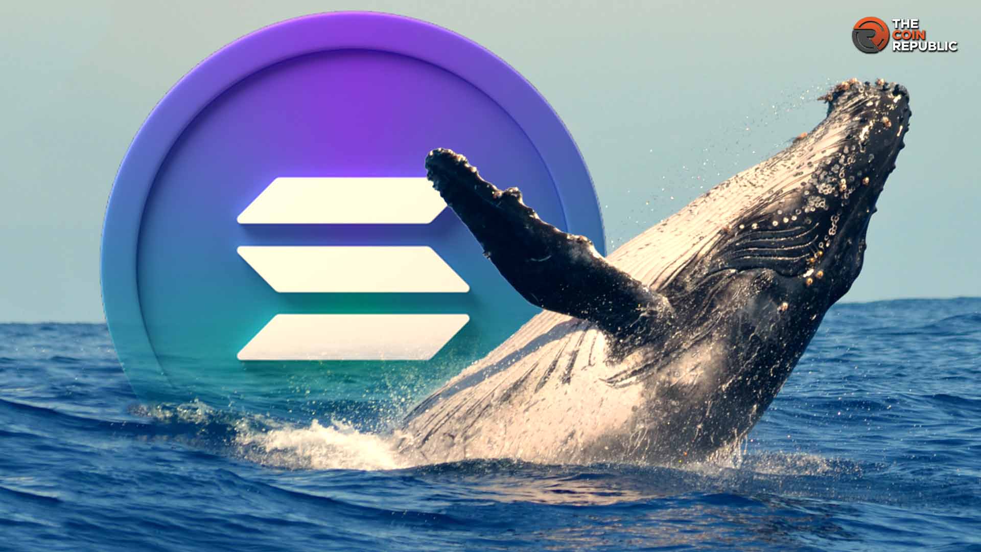 Solana News: Whales May Be Moving Ahead Of Possible SOL Price Drop