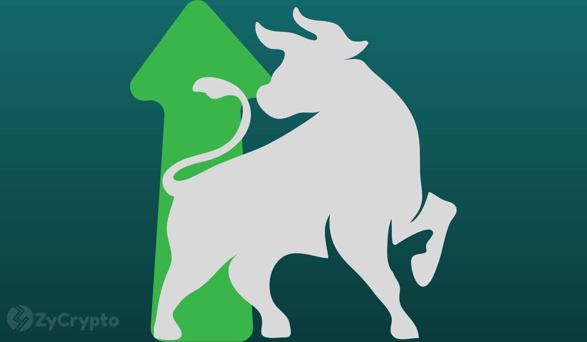 Ether, XRP, BNB, Solana, DOGE, Cardano Are About To Have A Generational Run,” Declares Expert ⋆ ZyCrypto