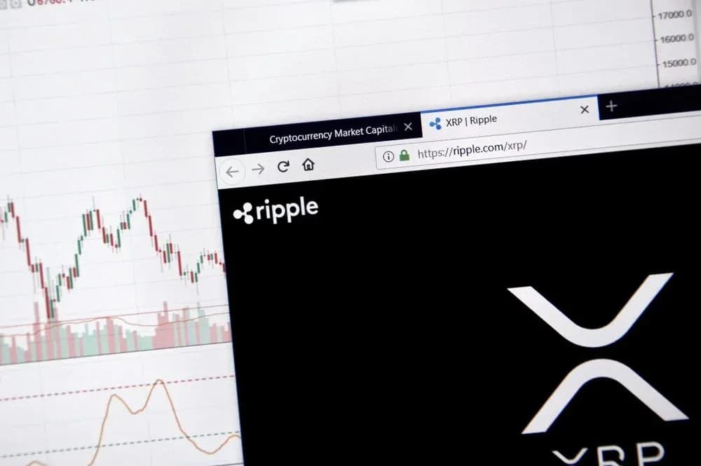Evernorth CBO: XRP Is Built for Payments, Bitcoin for Value