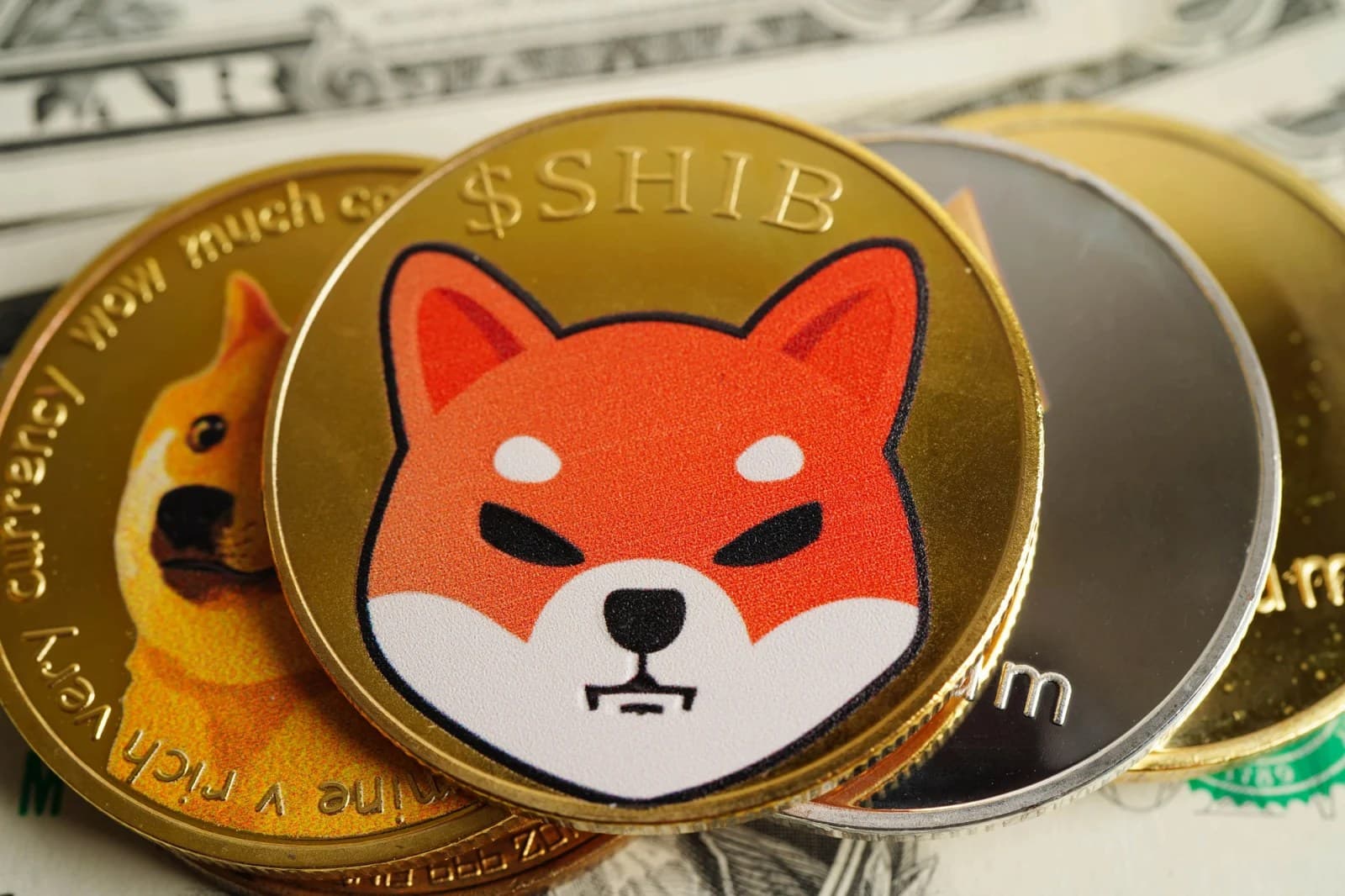 Round 2 for Shiba Inu Coin? Korea’s Crypto Exchange Suddenly Re-Organizes 864 Billion SHIB