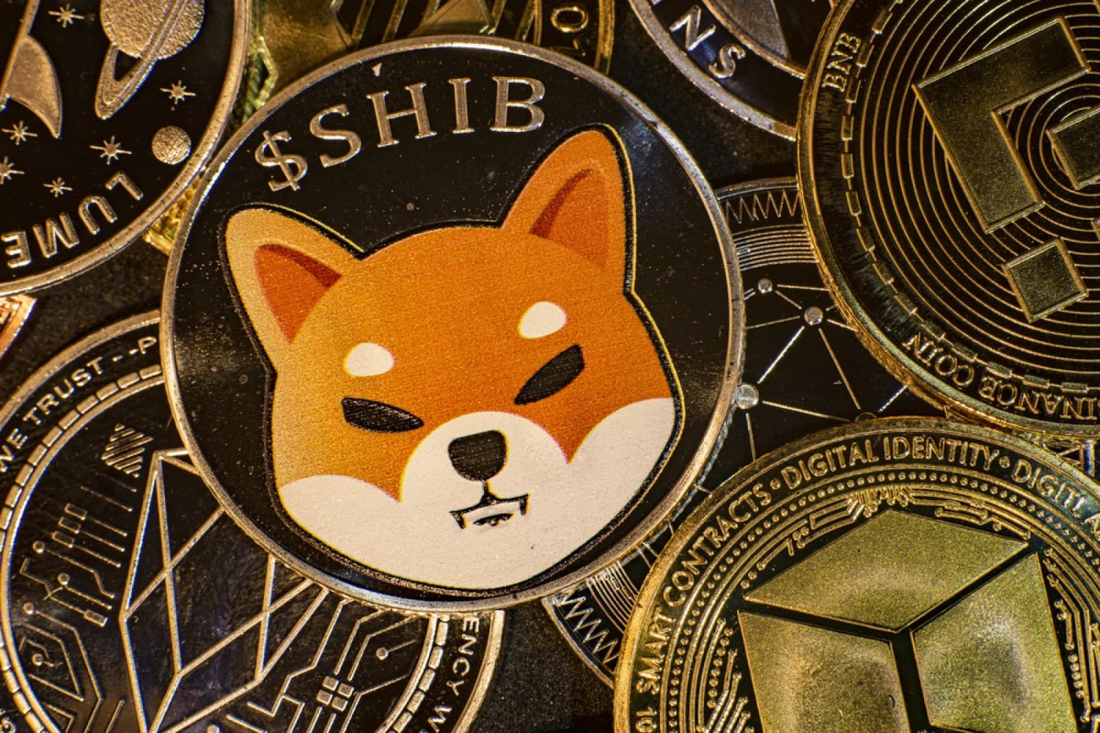 Shiba Inu’s (SHIB) 12x Volume Spike in the Recent Rally is Slowly Fading Away