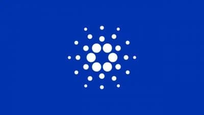 Toto Finance seeks $5M from Cardano treasury for copper reserve