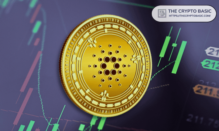 DexHunter Says Cardano Is More Alive Than Ever, Not Dead