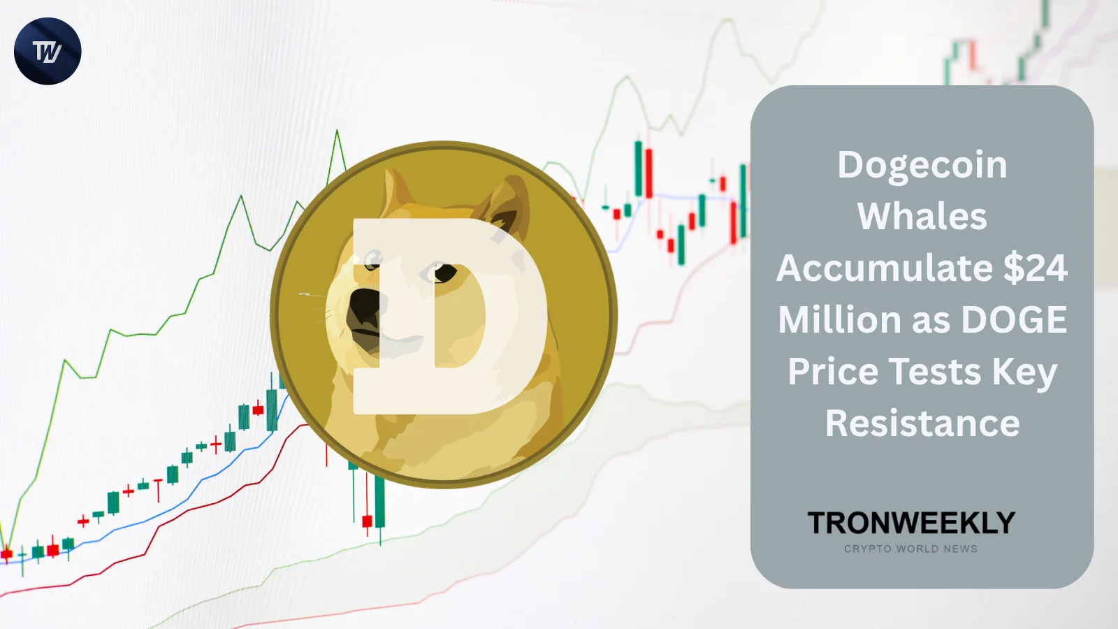 Dogecoin Whales Accumulate $24 Million as DOGE Price Tests Key Resistance
